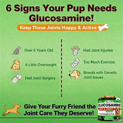 Youmile Dog Wellness Formula For Dogs Soft Chews For Seasonal Allergies, Gut, And Digestive Health. Vet-Reviewed, Premium-Quality Ingredients - Supplements Dog Vitamin