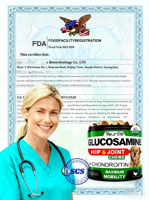 Youmile Hip & Joint Health Supplement For Dogs 120 Chews, Glucosamine Chondroitin MSM Dog Chews With Hyaluronic Acid, Liver Flavored Bone & Joint Support Supplement, For All Breeds