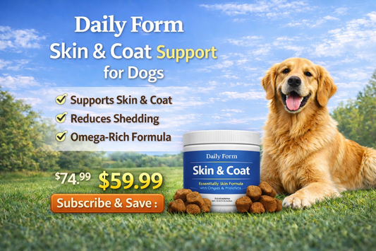 Youmile Omega 3 For Dogs - 240Ct  Fish Oil Treats - Allergy & Itch Relief Skin & Coat Supplement - Dry Itchy Skin, Anti Shedding & Hot Spots Treatment - Pet Salmon Oil Chews - Chicken Flavor Dog Vitamin