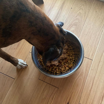 Digestive Enzymes Support for Dogs
