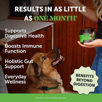 Youmile Dog Wellness Formula For Dogs Soft Chews For Seasonal Allergies, Gut, And Digestive Health. Vet-Reviewed, Premium-Quality Ingredients - Supplements Dog Vitamin