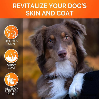 Youmile Omega 3 For Dogs - 240Ct  Fish Oil Treats - Allergy & Itch Relief Skin & Coat Supplement - Dry Itchy Skin, Anti Shedding & Hot Spots Treatment - Pet Salmon Oil Chews - Chicken Flavor Dog Vitamin